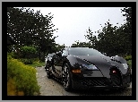 Czarny, Bugatti Veyron