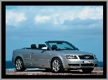 Cabrio, Srebrny, Audi A4