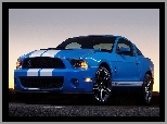 Shelby, Ford Mustang GT 500, Pakiet